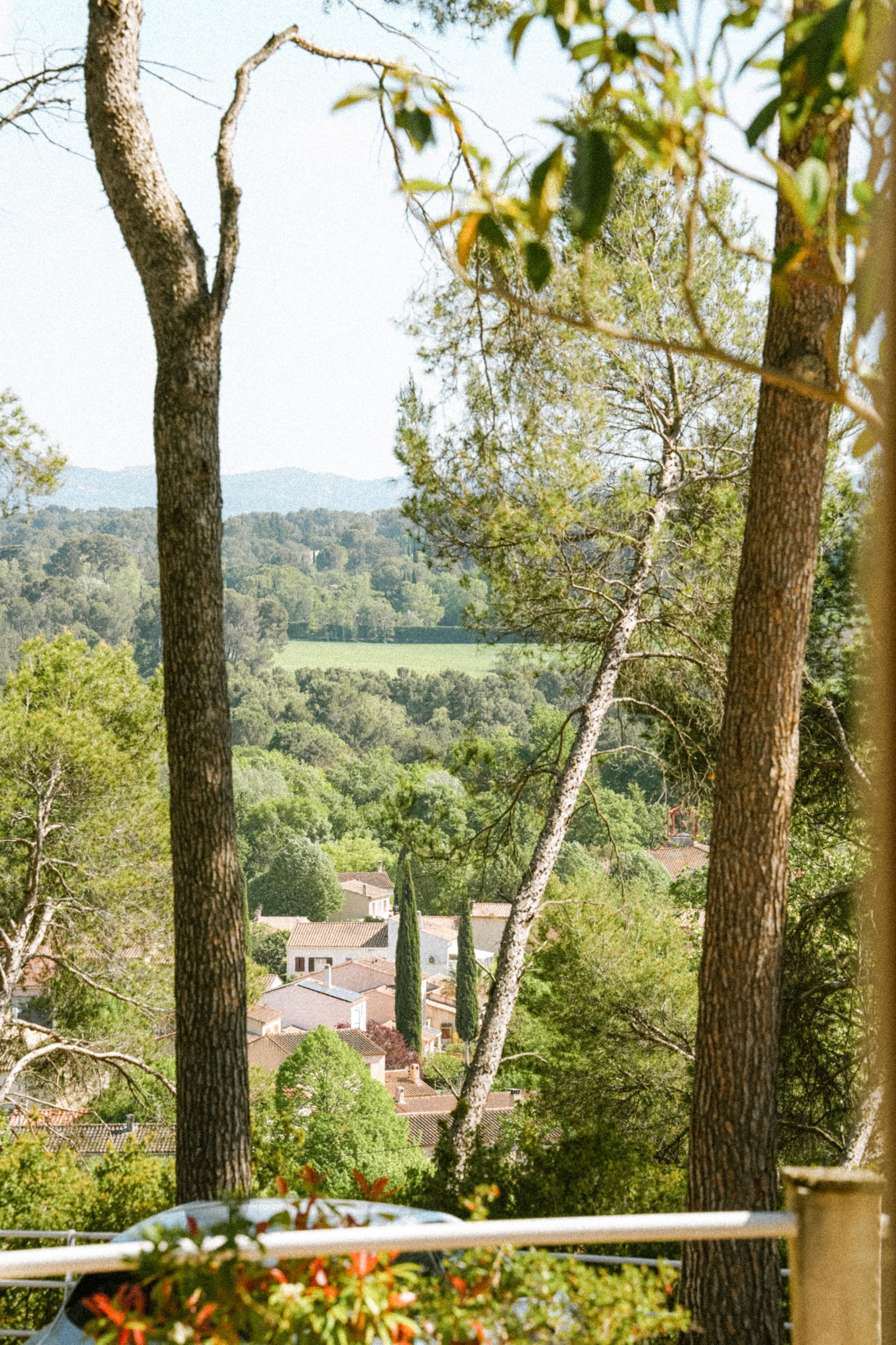Cadrage entre pins et cyprès sur le village